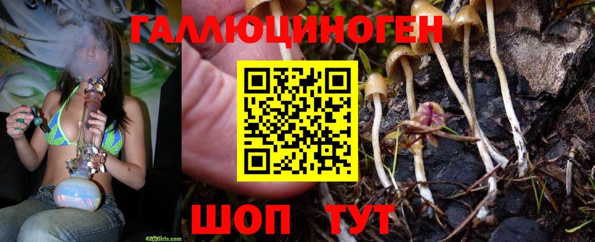 Галлюциногенные грибы MAGIC MUSHROOMS  Вход с VPN  купить закладку  Воткинск 